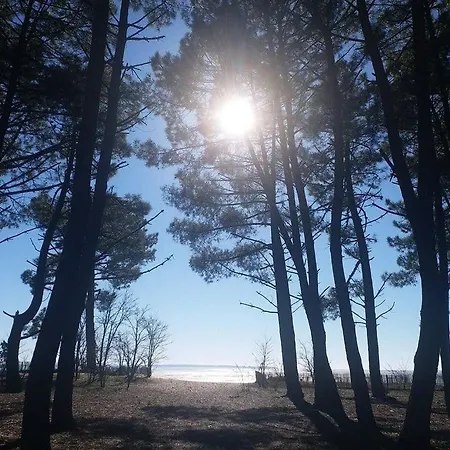 Campsite Camping Les Goelands - Maeva 3*